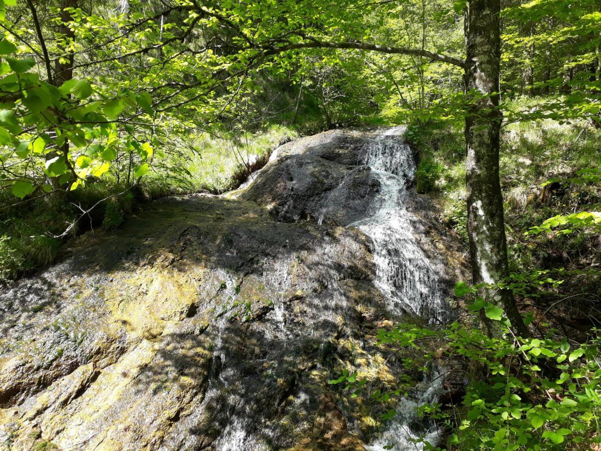 Grünau im AlmtalSportlerhof - Alimann Uab公寓 外观 照片